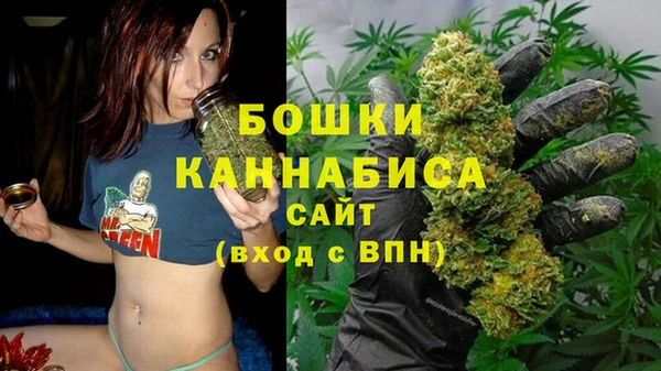 гидропоника Белая Холуница