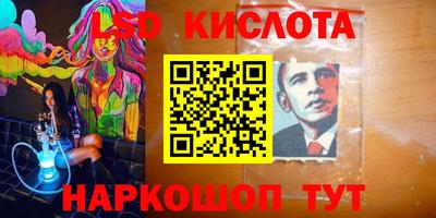 гашик Гусев