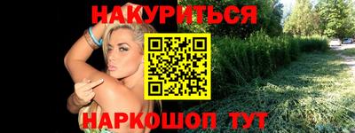 гашик Гусев