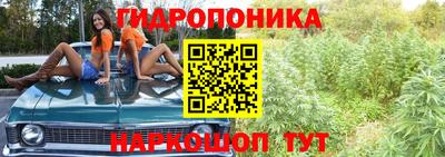 стафф Гусь-Хрустальный