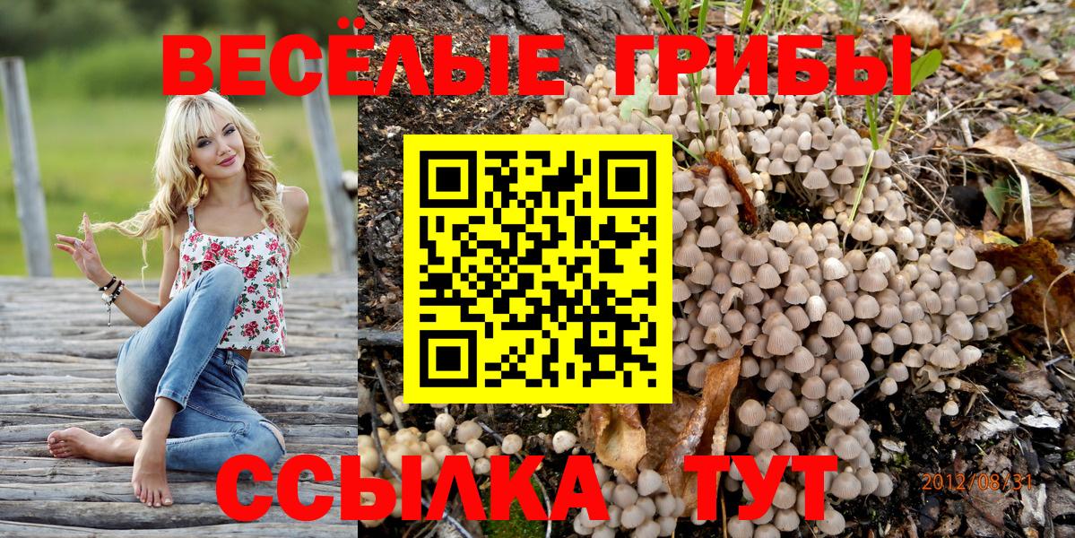 Североуральск  Галлюциногенные грибы Magic Shrooms  Вход с VPN 